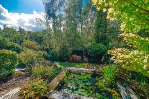 POND