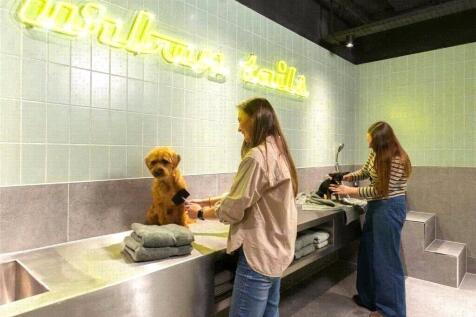 Dog Spa