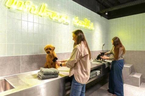 Dog Spa