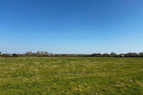 Rectory Woods
