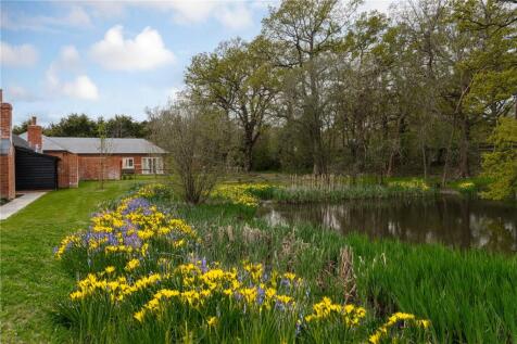 Nature Pond