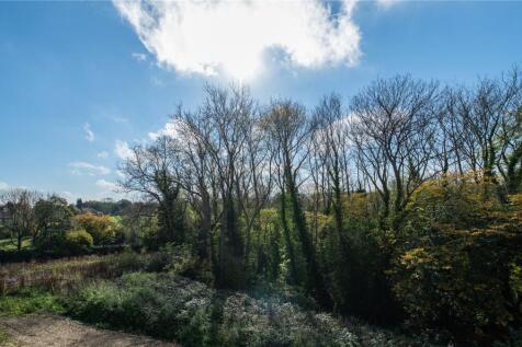 Ancient Woodland