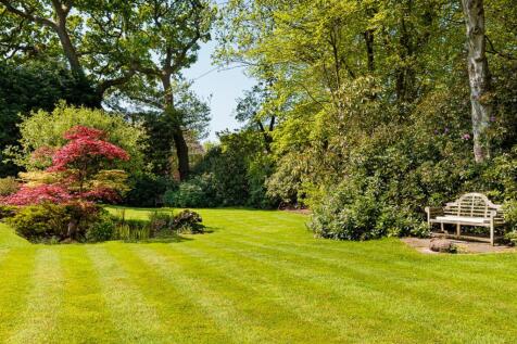 Property Image 63