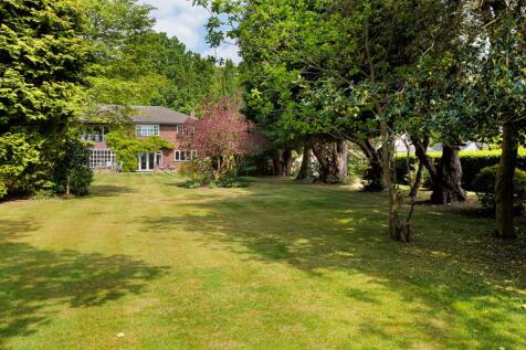 Property Image 32