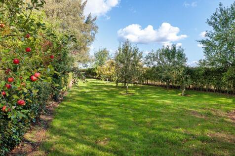 Property Image 32