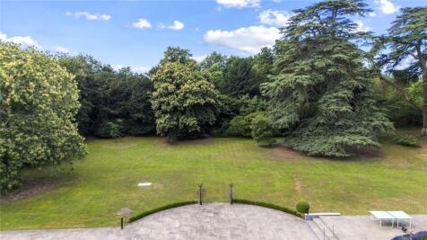 Mature Grounds