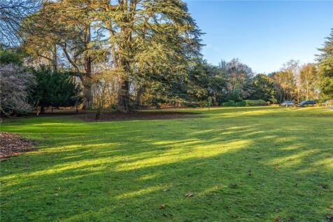 Mature Grounds