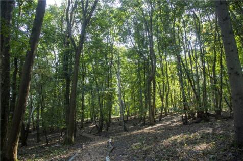 Woodland