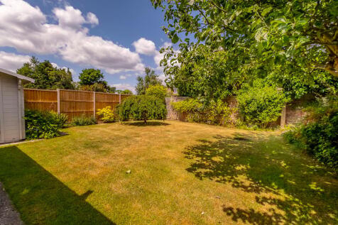Back Garden