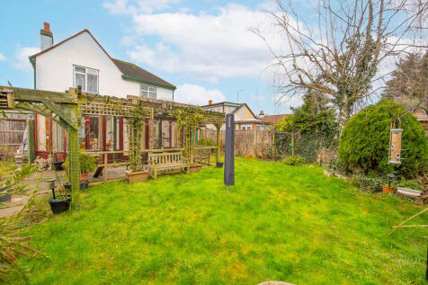 Back Garden