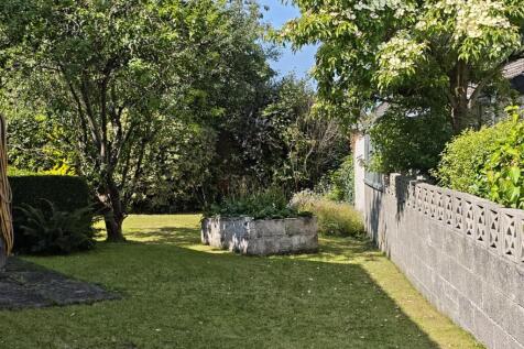MVIMG_20250618_102024.jpg