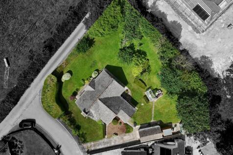 Newlands Birdseye B&amp;W.jpg
