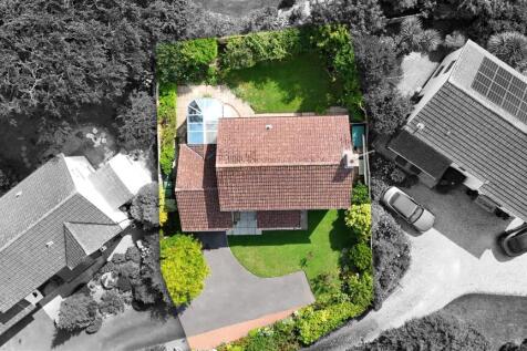 Birdseye B&amp;W.jpg