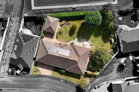 Birds Eye-3.jpg