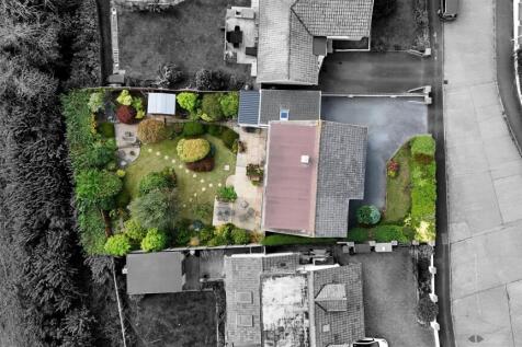 Birds Eye-4.jpg