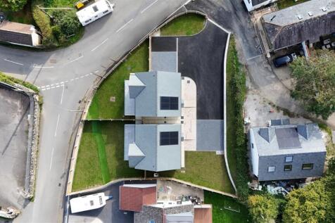 Birds Eye Full Colour.jpg