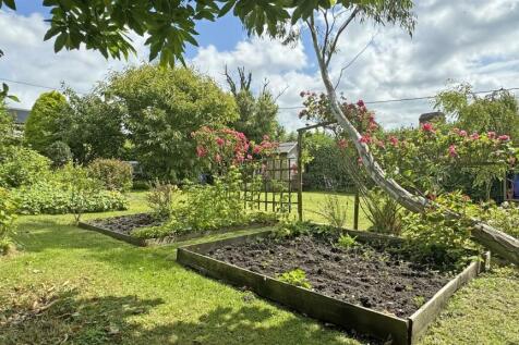 Garden 6.jpg