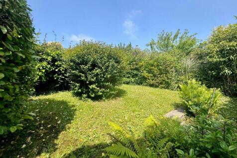 new garden.jpg