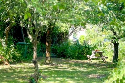 Garden 5.jpg