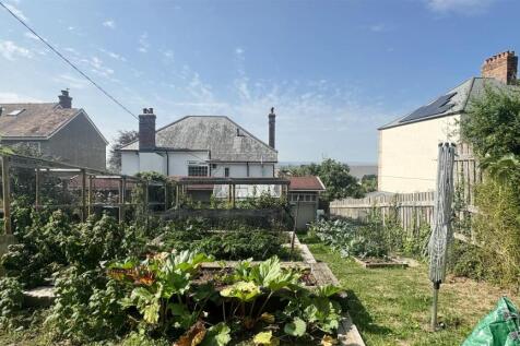 Back Garden 2.jpg
