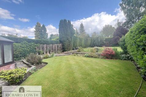 Beautiful Garden