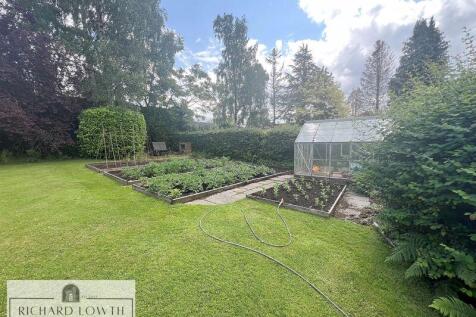 Beautiful Garden
