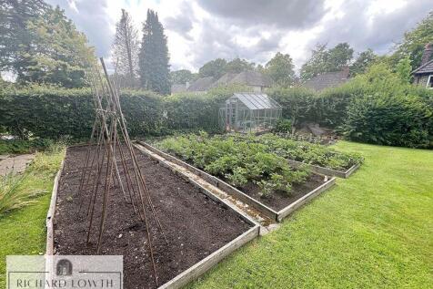 Beautiful Garden