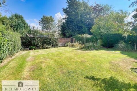 Beautiful Garden