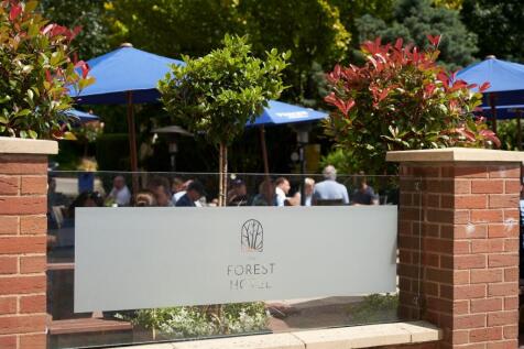 The Forest