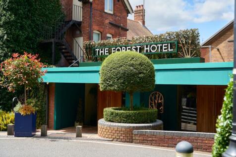 The Forest Bar
