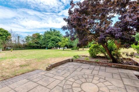 Terrace and Garden