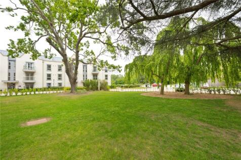 Grounds