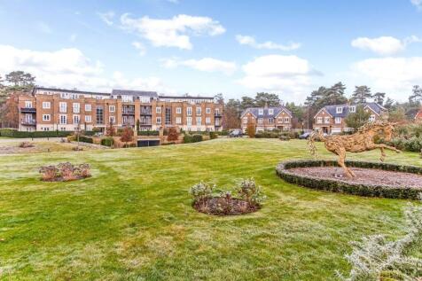 Grounds