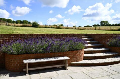 Terrace/Garden