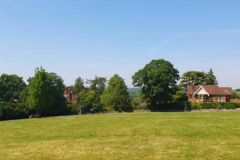 View From The Park