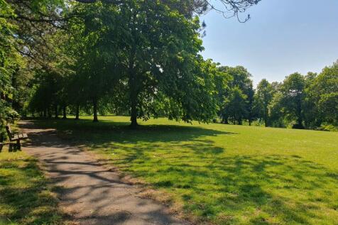 View From The Park