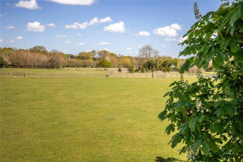 Grounds
