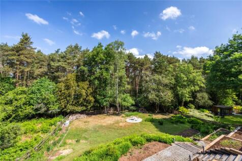 Elevated Garden View