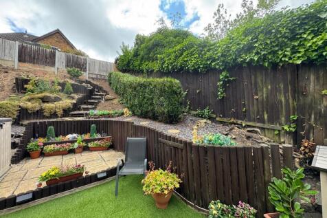 Back garden