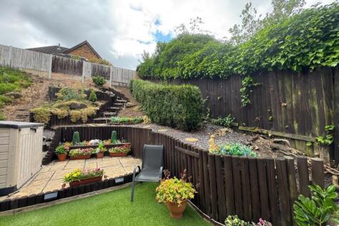 Back garden