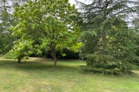 Garden 3