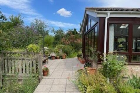 Garden 4
