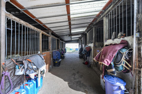 Stables