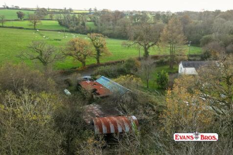 DJI_0189.jpg
