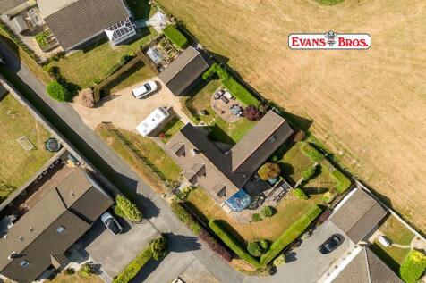 DJI_0985.jpg