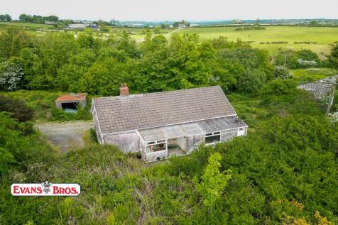 DJI_0899.jpg