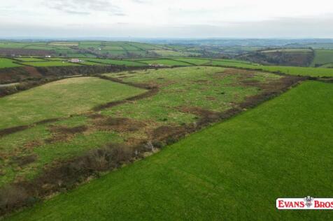 DJI_0171.jpg