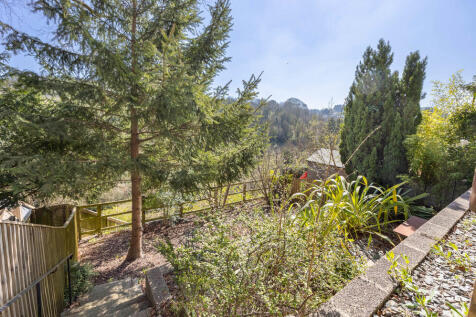 Lower Rear Garden