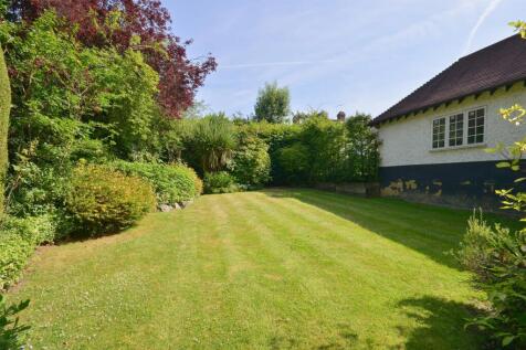 garden 3.jpg