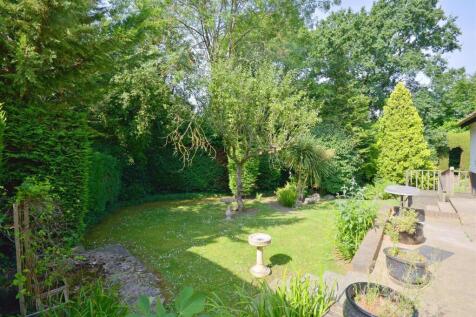 garden.jpg